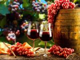 Các phong cách rượu vang Moscato