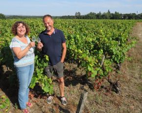 Rượu vang Ý: Cùng khám phá rượu vang Moscato nổi tiếng