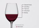Những đặc tính cơ bản nào của rượu giúp bạn tìm ra loại yêu thích của mình