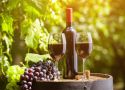 9 sự thật cần biết về rượu vang Ý