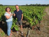 Rượu vang Ý: Cùng khám phá rượu vang Moscato nổi tiếng