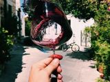 Rượu vang Ý với xu hướng phong cách hiện đại