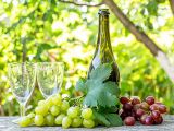 Rượu vang: sự thật thú vị về rượu vang không ngọt