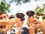 Thông tin thú vị về rượu vang Pháp Burgundy