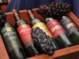 Rượu vang Ý và những thách thức