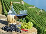 Rượu vang Pháp loại nào ngon nhất, giá phải chăng?