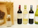 Các loại rượu vang trắng của Pháp ngon khó cưỡng